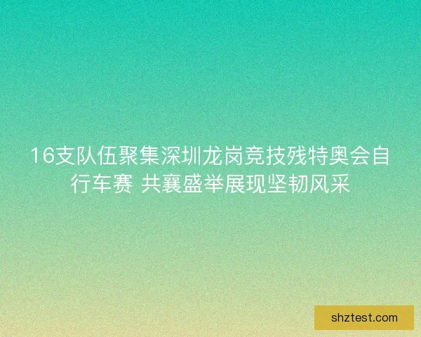 16支队伍聚集深圳龙岗竞技残特奥会自行车赛 共襄盛举展现坚韧风采