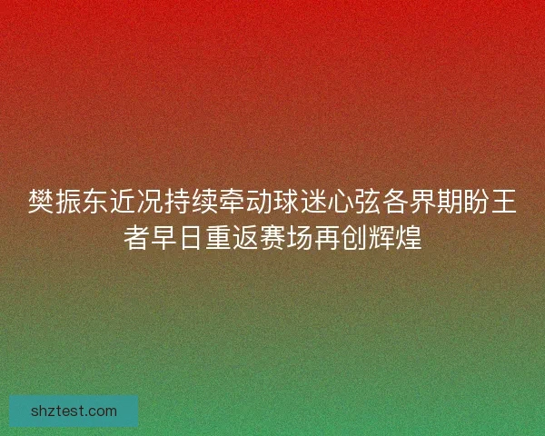 樊振东近况持续牵动球迷心弦各界期盼王者早日重返赛场再创辉煌